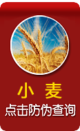 防偽查詢(xún)